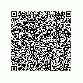 vCard 79063480331