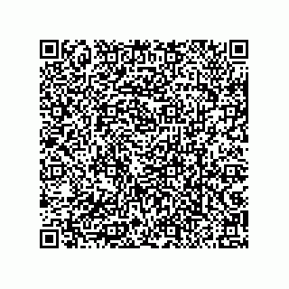 vCard 79063480332