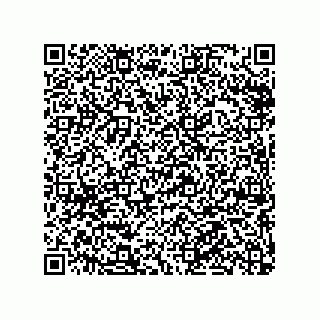 vCard 79063480333