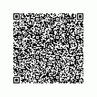vCard 79063480337