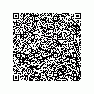 vCard 79063480338