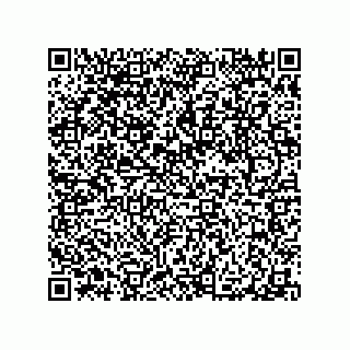 vCard 79063480339