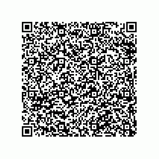 vCard 79063480342
