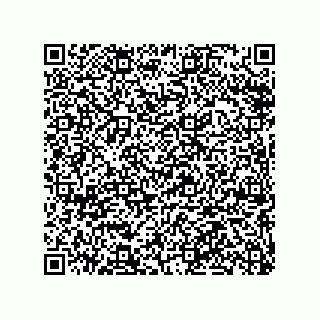 vCard 79063480345