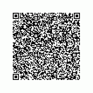 vCard 79063480346