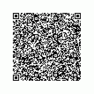 vCard 79063480352