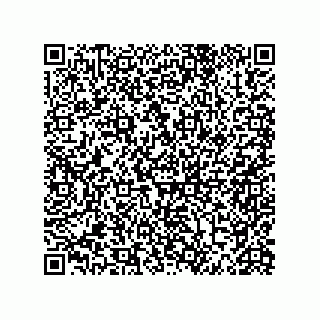 vCard 79063480353