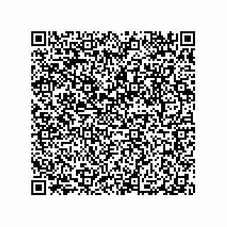vCard 79063480358
