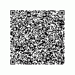 vCard 79063480359