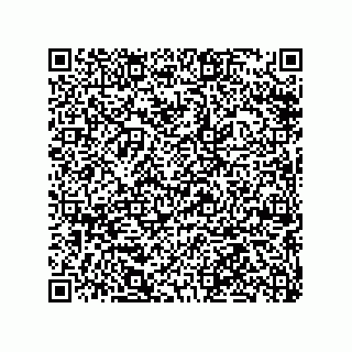 vCard 79063480369