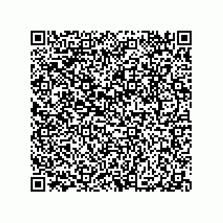 vCard 79063480370