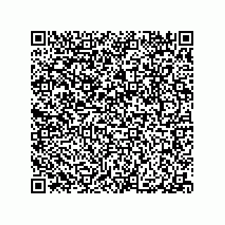 vCard 79063480371