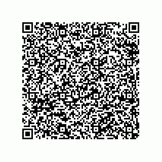 vCard 79063480373
