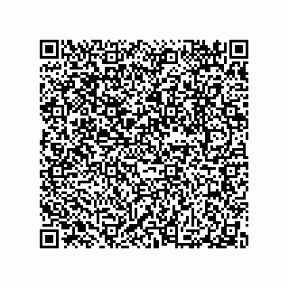 vCard 79063480374
