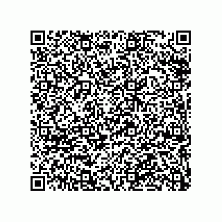 vCard 79063480376