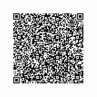 vCard 79063480377