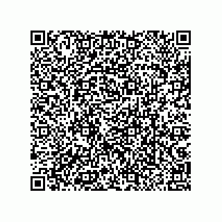 vCard 79063480378