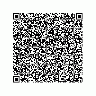 vCard 79063480380