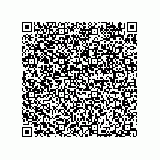 vCard 79063480381