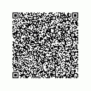 vCard 79063480382