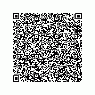 vCard 79063480383