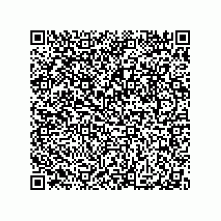 vCard 79063480384
