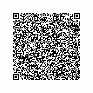 vCard 79063480385
