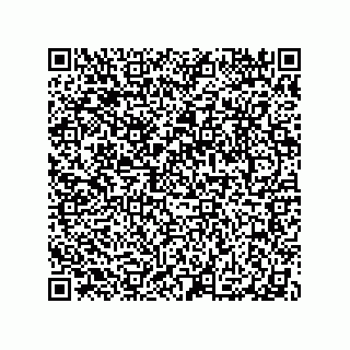 vCard 79063480386