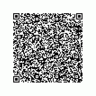 vCard 79063480387