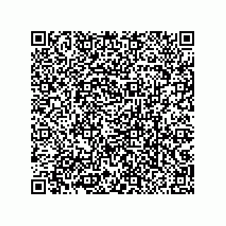 vCard 79063480389