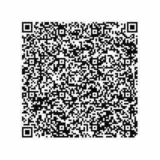 vCard 79063480390