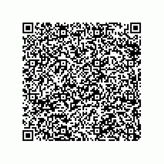 vCard 79063480392