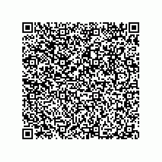 vCard 79063480393