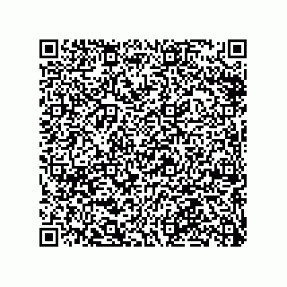 vCard 79063480394