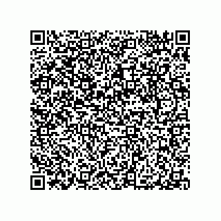 vCard 79063480395
