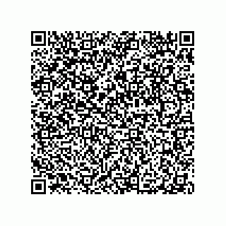 vCard 79063480397