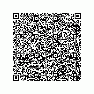 vCard 79063480398