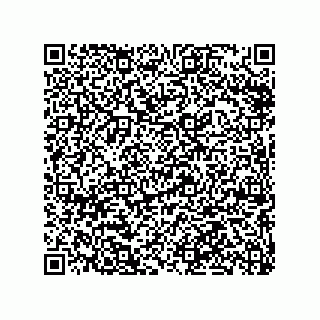 vCard 79063480399