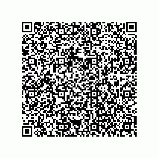 vCard 79063700029