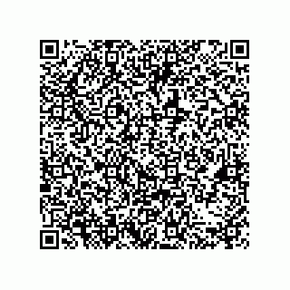 vCard 79063700131