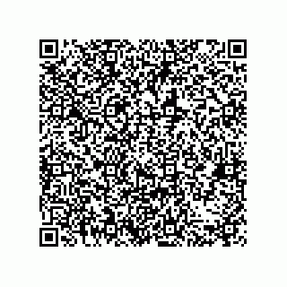 vCard 79063700153