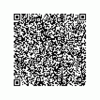 vCard 79063700155