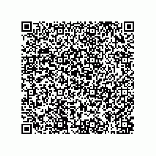 vCard 79063700167