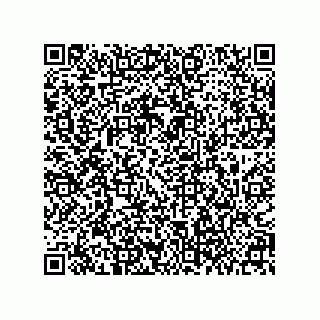 vCard 79063700178