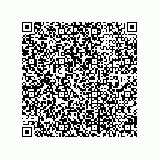vCard 79063700181