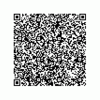 vCard 79063700183