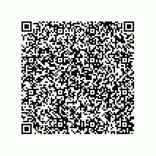 vCard 79063700187