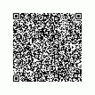 vCard 79063700201