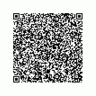 vCard 79063700207