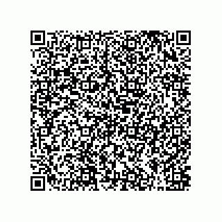 vCard 79063700217
